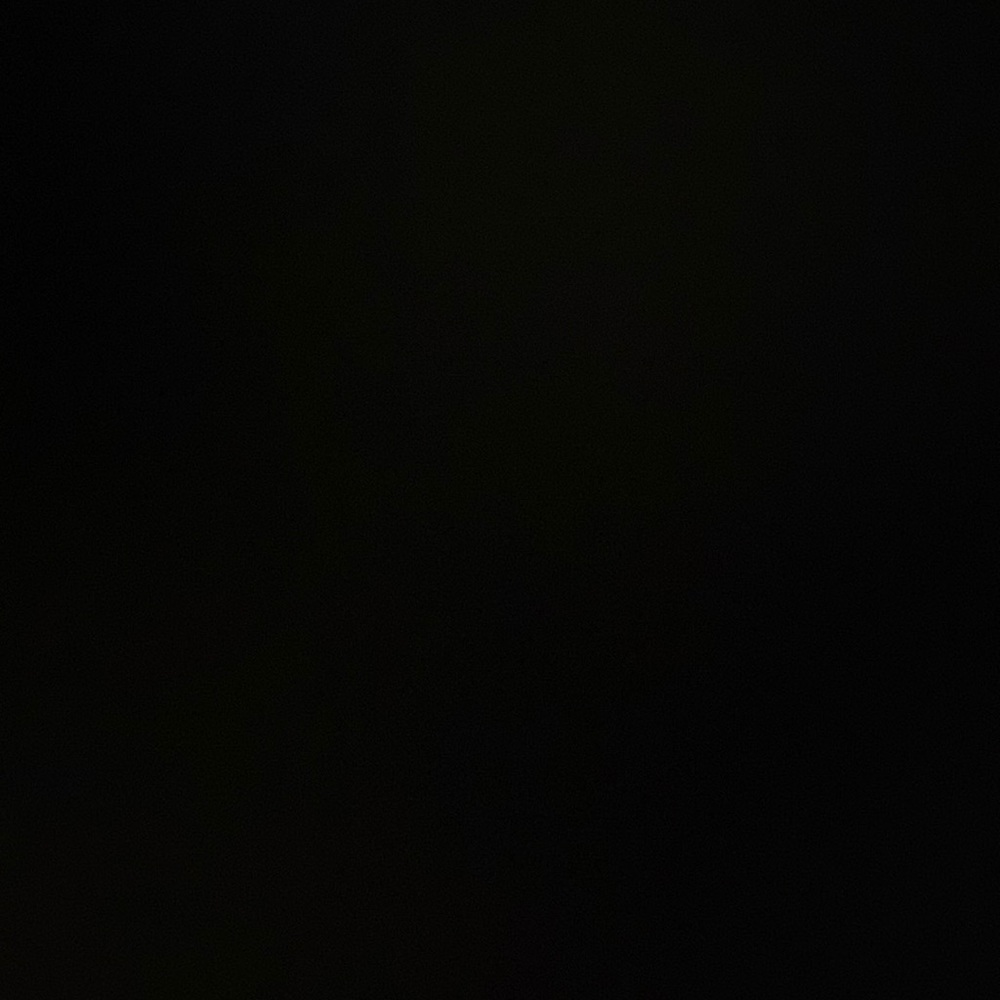 Meet your Posher, Maddison